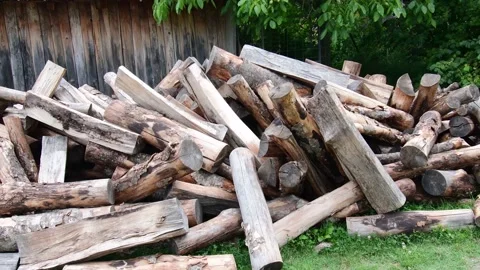 Pile of tree trunks Stock Footage 207482571