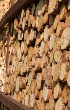 A pile of tree trunks lying, waiting to be burned Foto stock