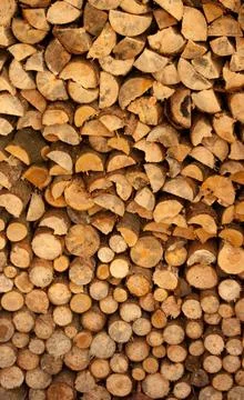 A pile of tree trunks lying, waiting to be burned Stock Photos