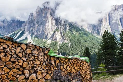 Pile of tree trunks Stock Photos