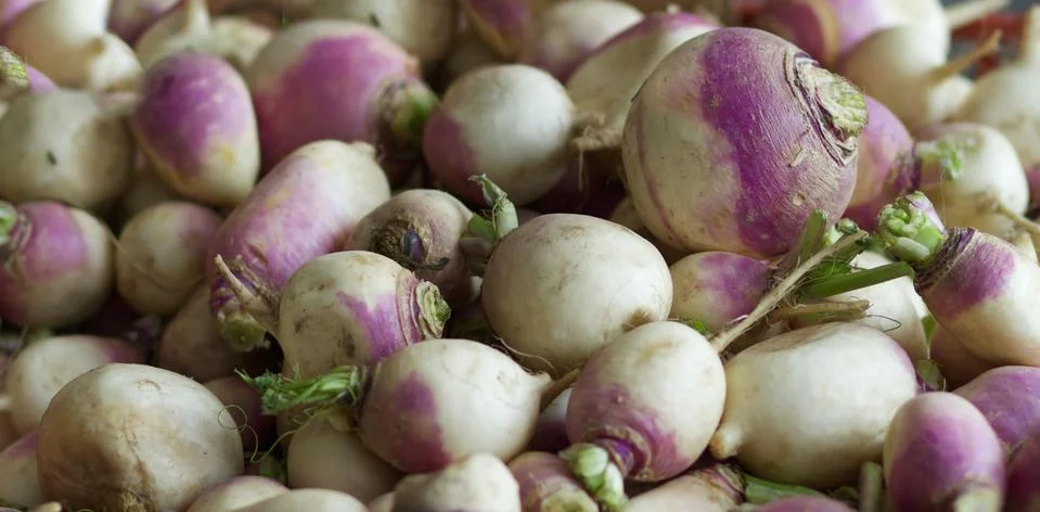 Pile of turnips Stock Photos