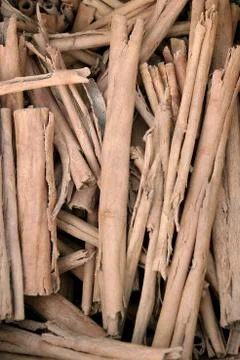 Pile of twigs for heating Stock Photos