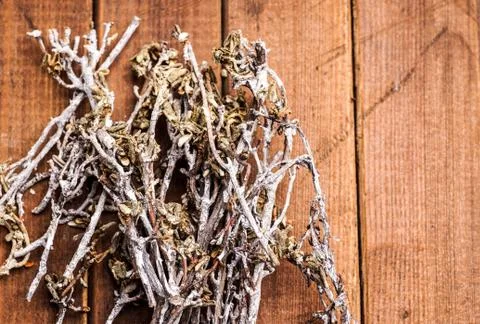 Pile of twigs Stock Photos