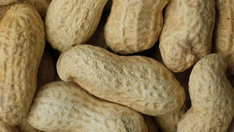 Pile of unpeeled peanuts in shell close-up rotate top view Stock Footage 305831073