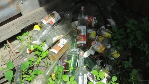 Pile of used drink bottles stranded in the bushes Video stock 197642427