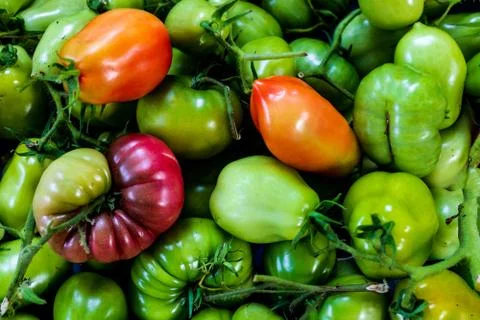 Pile of various tomatoes Stock Photos