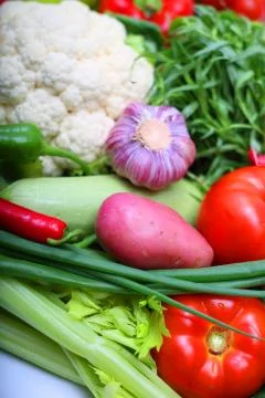 Pile of vegetables 库存照片