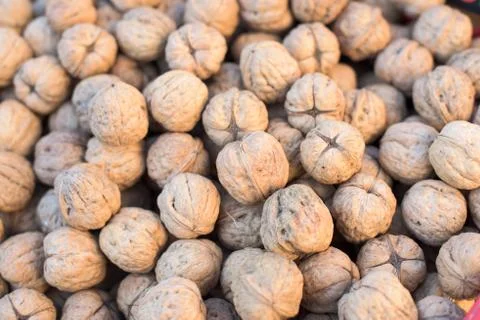 A pile of walnut Stock Photos