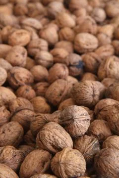 Pile of walnuts Stock Photos