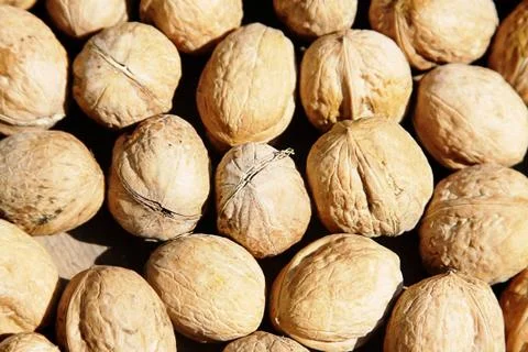 Pile of walnuts Stock Photos