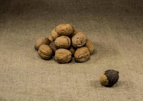 Pile of walnuts Stock Photos