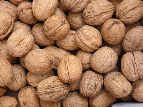 Pile of walnuts Stock Photos