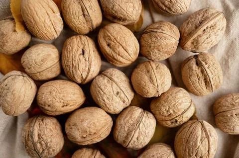 Pile of walnuts on rustic fabric Stock Photos