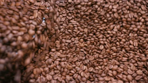 Pile of warm roastery coffee crop in the professional kitchen for cook mocha in Stock Footage 199474506