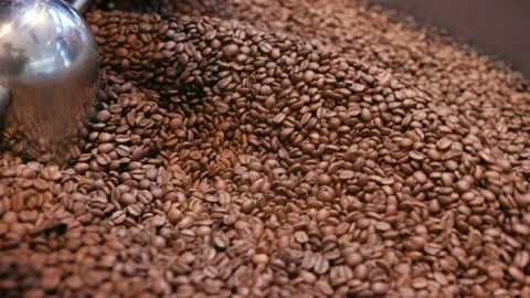Pile of warm roastery coffee crop in the professional kitchen for cook mocha in Video stock 199474515