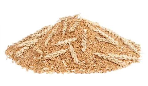 Pile of wheat grains Stock Photos