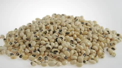 Pile of white beans Video stock 10802644