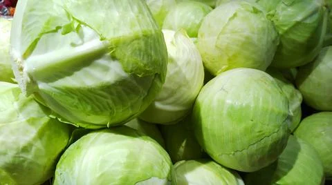 Pile of white cabbage. Vegetables background. Brassica oleracea. Capitata Cul Foto stock