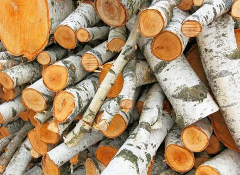 Pile of white logs. Stock Photos