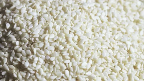 A pile of white sesame Stock-Footage 146010260