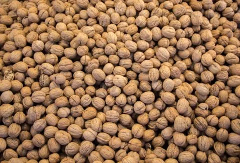 Pile of whole walnuts  with hard nutshells Stock Photos