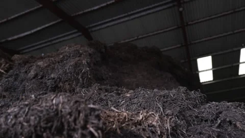 A pile of wood chips is piled high in a warehouse Stock Footage 297844334