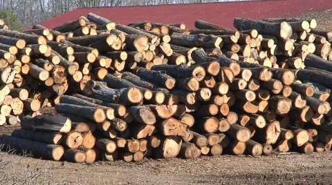 Pile of Wood Stock Footage 582034