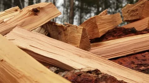 Pile of wood Stock Footage 21992820