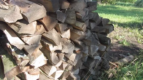 Pile of wood Stock Footage 160068029