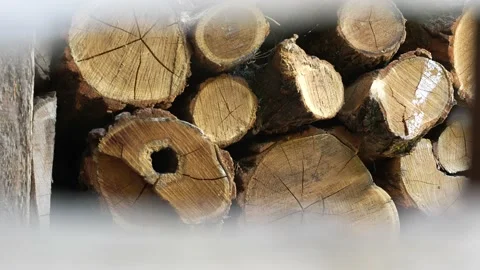 Pile of Wood  Stock Footage 204886155