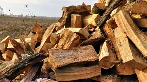 Pile of Wood on the Ground Stock Footage 61629451