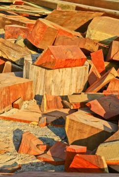 Pile of wood Stock Photos