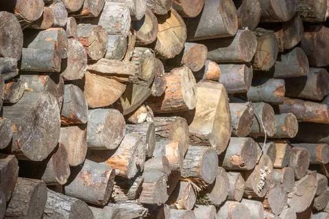 Pile of Wood, Stack of Firewood Close Up, Background Stock Photos
