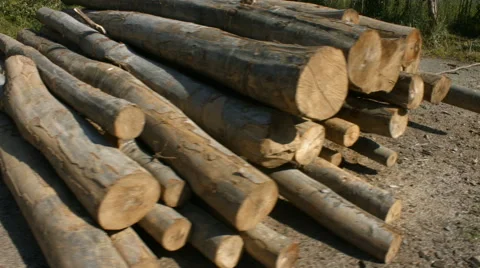 A pile of wood in the sunset Stock Footage 64013361
