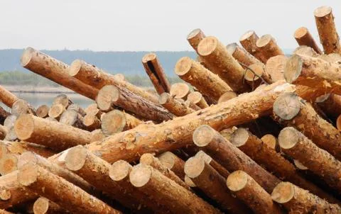 Pile of woods Stock Photos
