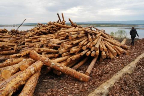Pile of woods Foto stock