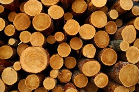 Pile of woods Stock Photos