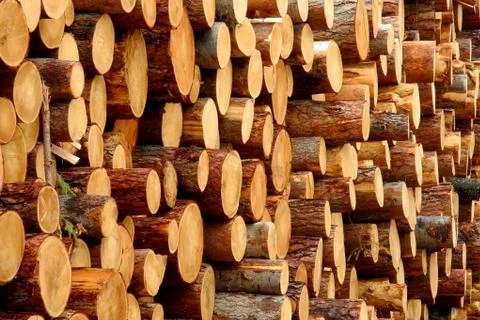 Pile of woods Stock Photos