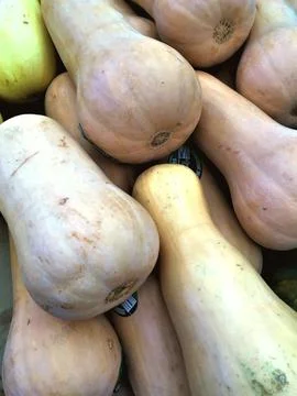 A pile of zucchini Stock Photos