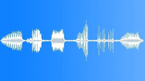 Pileated Woodpecker Bird Call Sound Effect