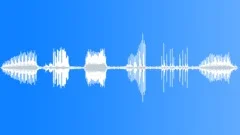 Pileated Woodpecker Bird CallSound Effect