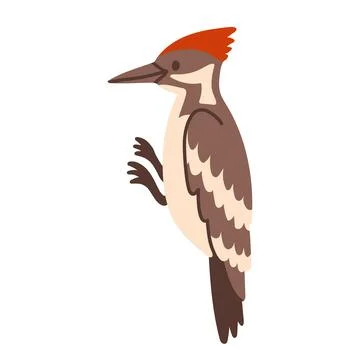 Pileated woodpecker profile bird vector illustration. Flat design woodland Stock Illustration