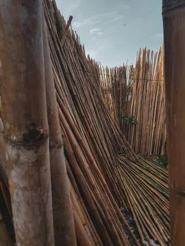 Piled up bamboo Stock Photos