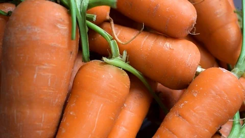 Piled organic carrots Stock Footage 101835546