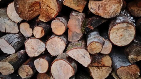 Piled timber logs in countryside setting, Hewn firewood stacked in rural yard Stock Footage 325613621