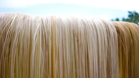 Piles of Abaca Fiber Material drying in ... | Stock Video | Pond5