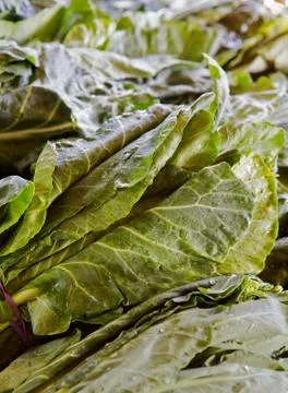 Piles of chard Stock Photos
