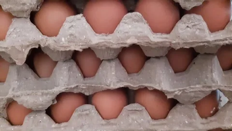 Piles of chicken eggs in egg tray carton Stock Footage 285833957