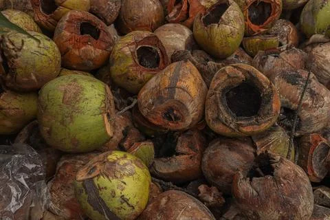 Piles of coconut shells that become waste 库存照片