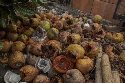 Piles of coconut shells that become waste 库存照片